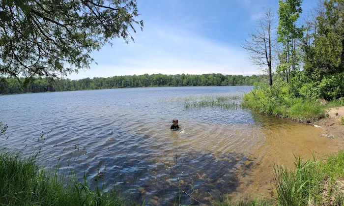 Healy Lake Beach 2