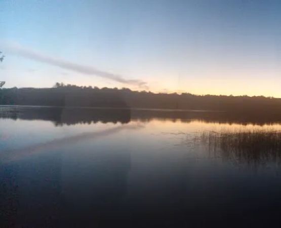 Healy Lake Beach