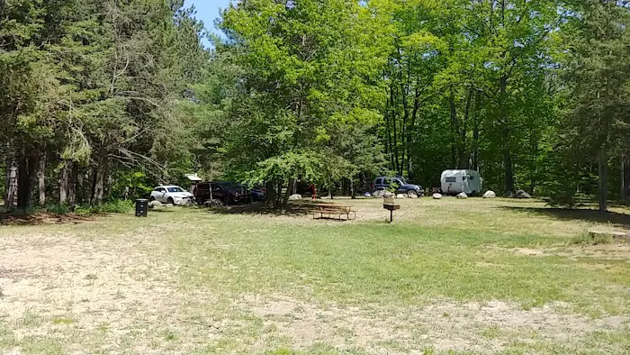 Healy Lake Beach 9
