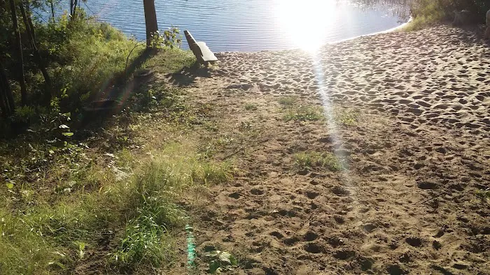 Healy Lake Beach 8