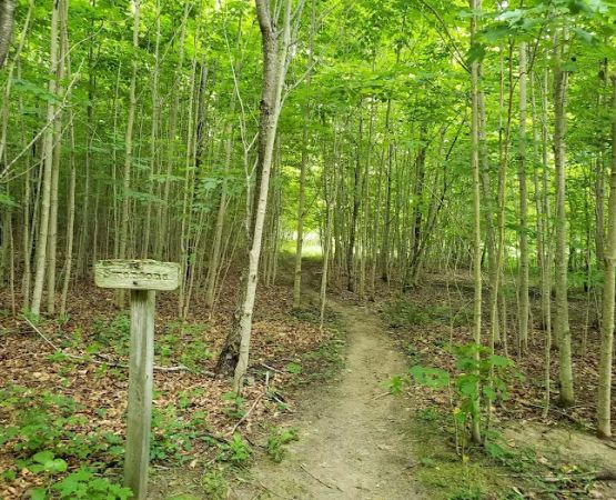 Village Campground North Manitou Island