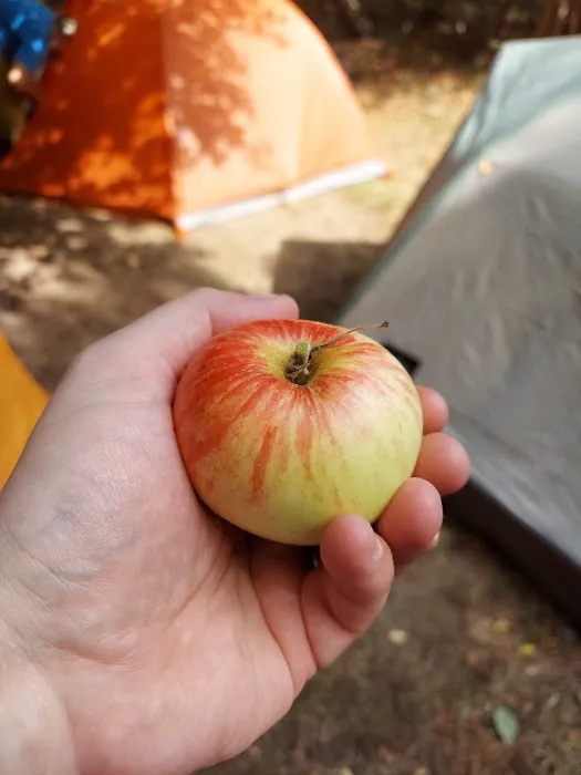 Village Campground North Manitou Island 4