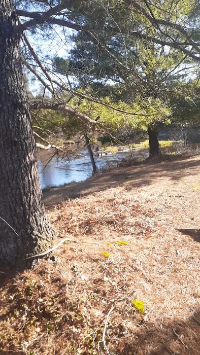 Upper Manistee River State Forest Campground 2