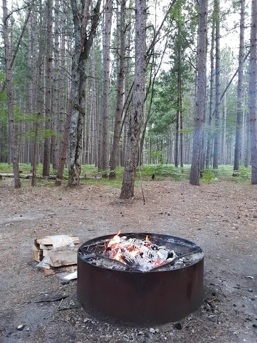 Upper Manistee River State Forest Campground 3