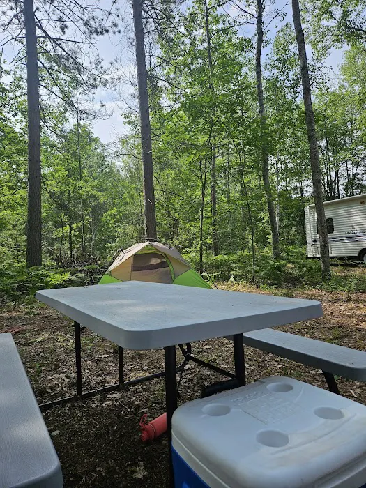 Hankerd's Horseshoe Lake Campground 8