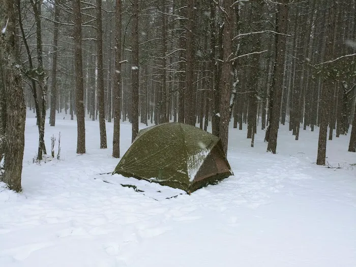 CCC Bridge State Forest Campground 6