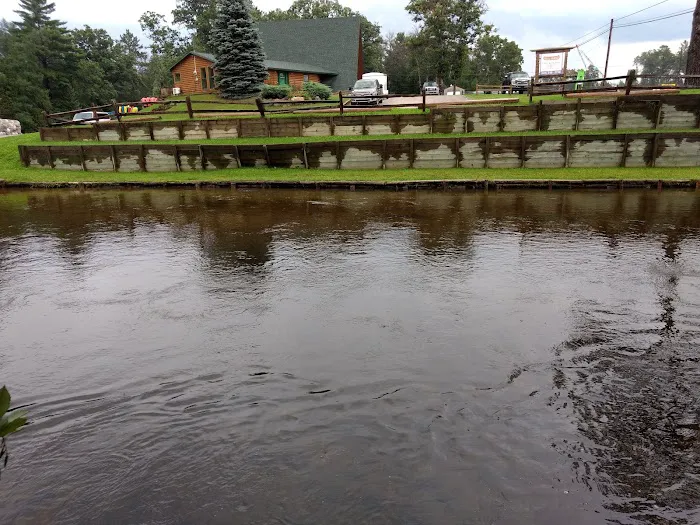 Manistee River Bridge State Forest Campground 0