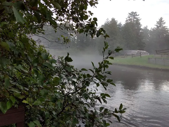 Manistee River Bridge State Forest Campground 5