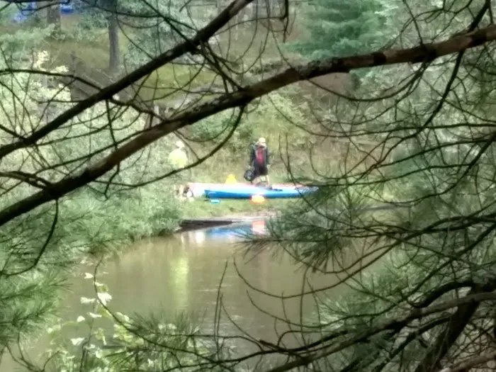 Manistee River Bridge State Forest Campground 1