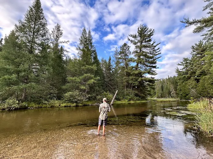 Manistee River Bridge State Forest Campground 8