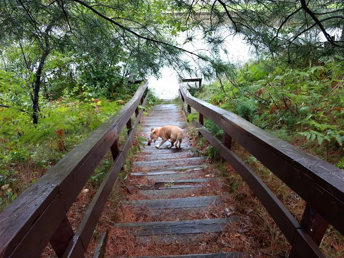 Manistee River Bridge State Forest Campground 6