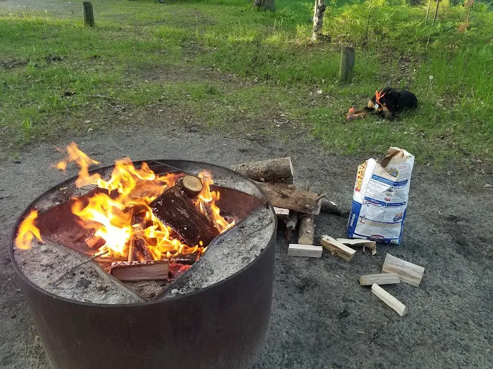 Lake Margrethe State Forest Campground 3