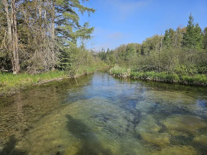 Lake Margrethe State Forest Campground 5
