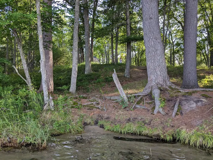 Lake Margrethe State Forest Campground 6