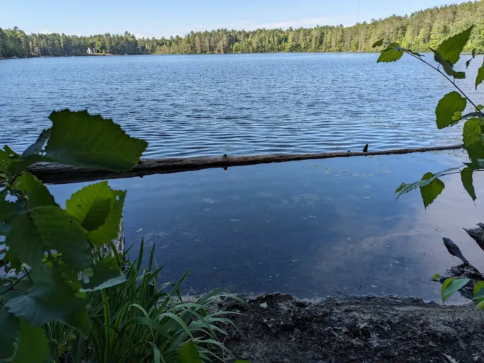 Lake Marjory State Forest Campground 3