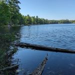 Lake Marjory State Forest Campground