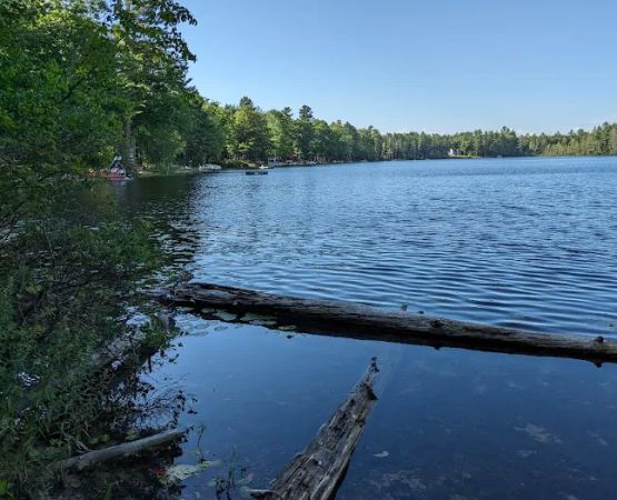 Lake Marjory State Forest Campground