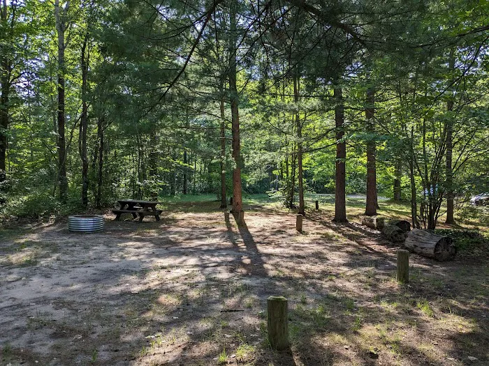 Lake Marjory State Forest Campground 5