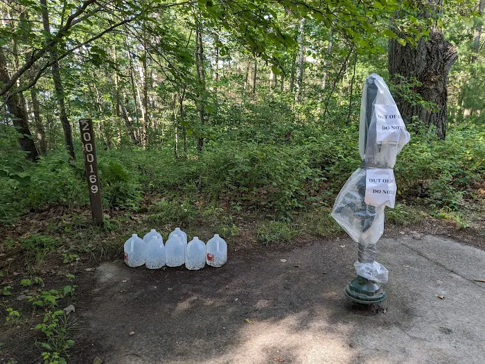 Lake Marjory State Forest Campground 2