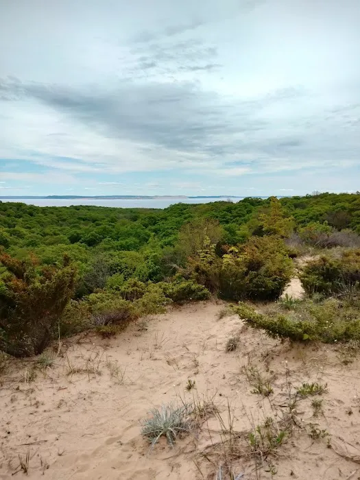 Weather Station Campground - South Manitou Island 6