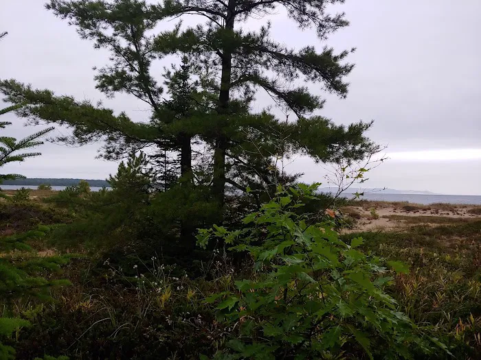 Bay Campground-South Manitou Island 9