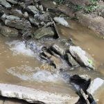 Camp Butterworth, Girl Scouts of Western Ohio