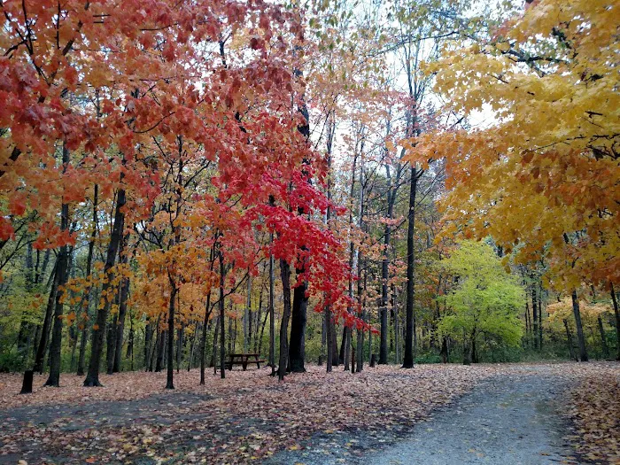Hidden Paradise Campground 2