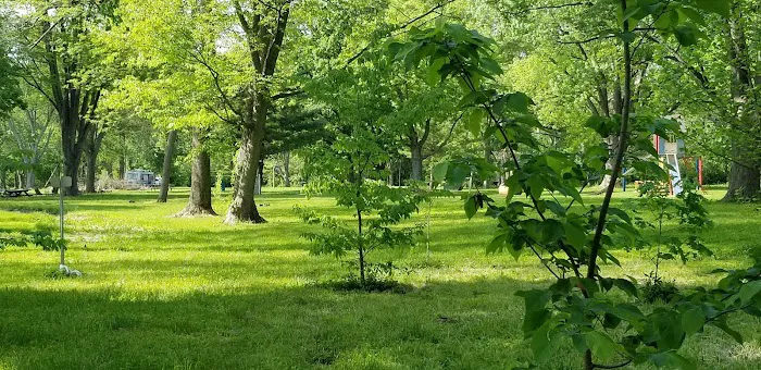 Walnut Grove Campground 2