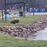 Lake Cozy-Dale Campground & Restaurant