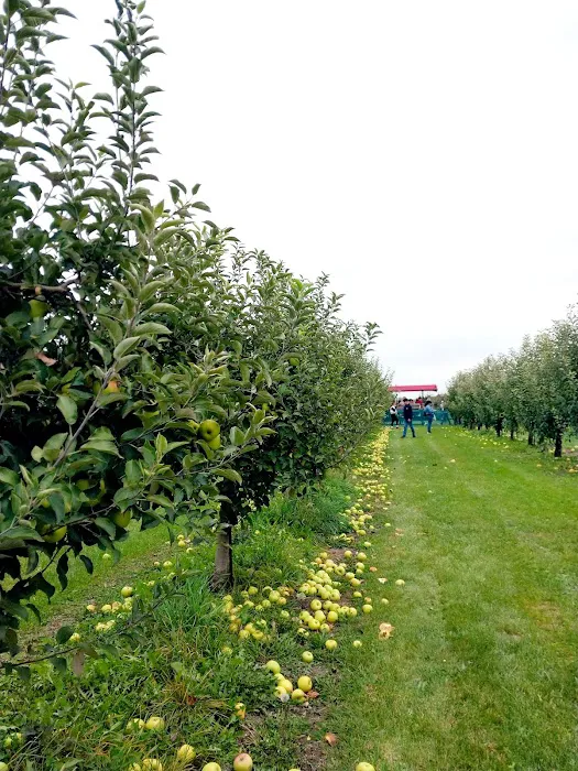 Apple Orchard Primitive Campground 3