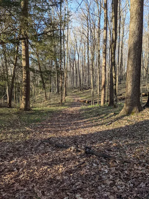 Deer Creek Campground 6