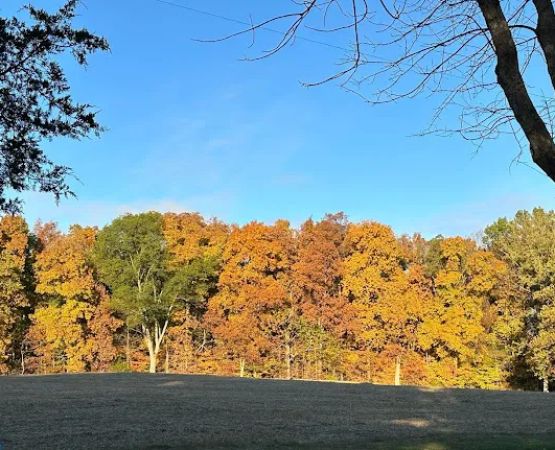 Gassaway Lake Campground