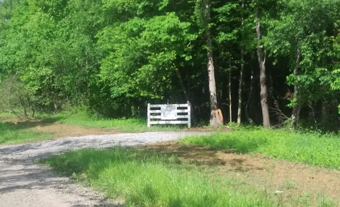 Todds Fork Adventures 1