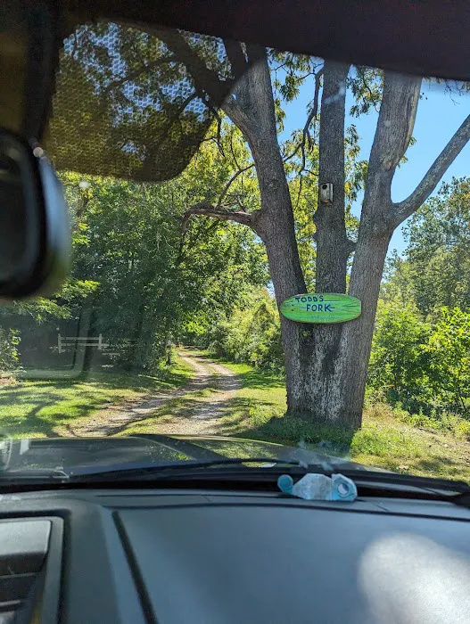 Todds Fork Adventures 2