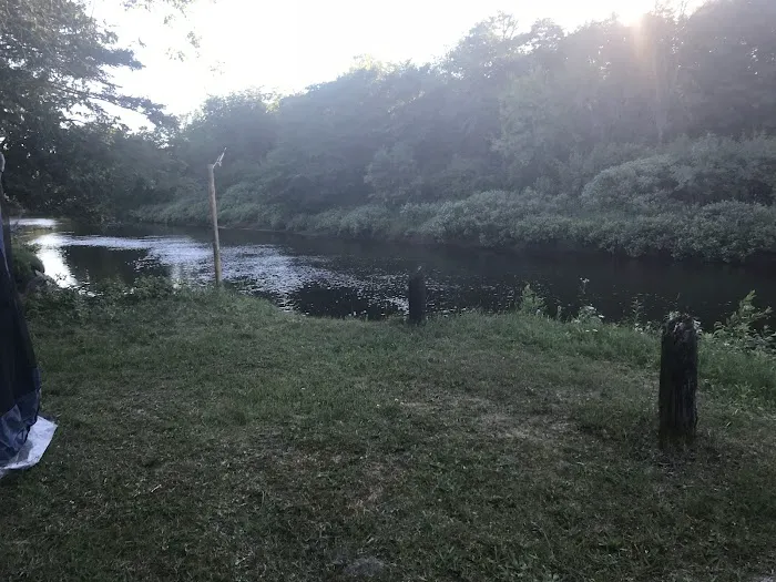 Merwin Creek Campground 7