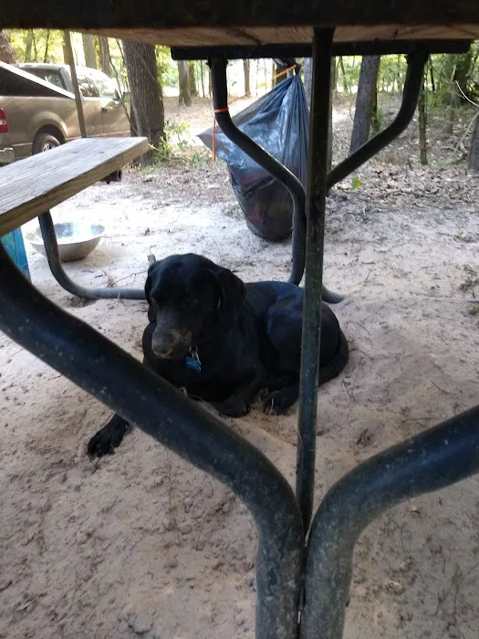 Riversedge Campground 4