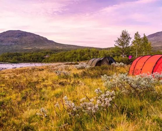 Discover Scenic Farm Camping Spots Perfect for Nature Photography Enthusiasts
