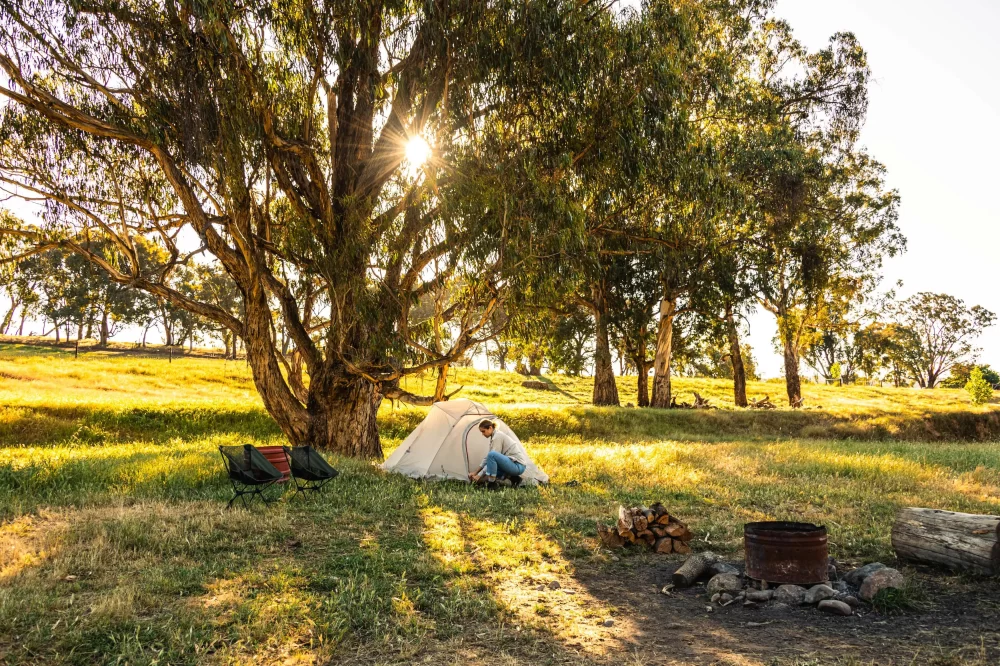 Camping Near Rural Farms for Authentic Nature Experiences and Farm Stays