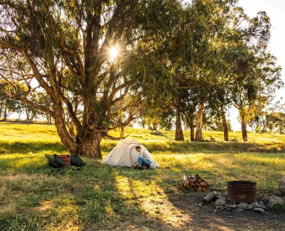 Camping Near Rural Farms for Authentic Nature Experiences and Farm Stays