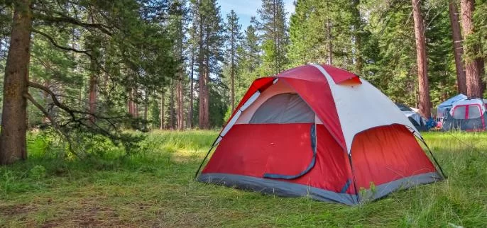 Essential Guide to Camping for Beginners in the United States