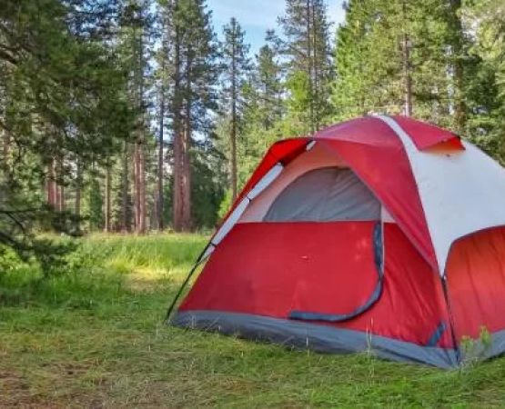 Essential Guide to Camping for Beginners in the United States