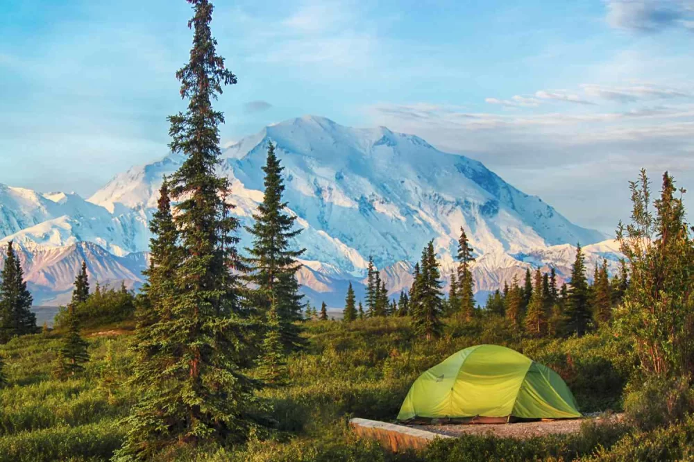 Experience the Best Camping and Wildlife Watching in the USA