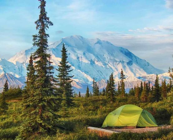 Experience the Best Camping and Wildlife Watching in the USA