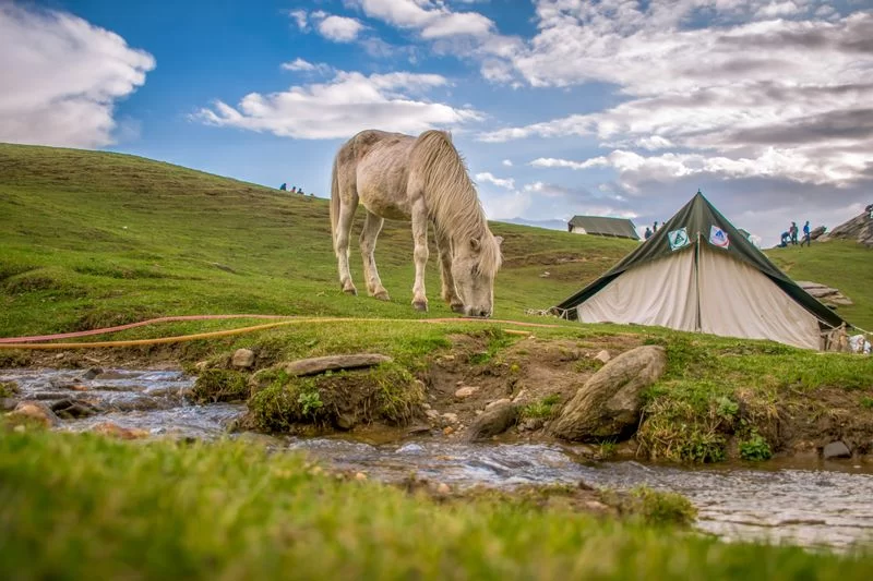 Experience Wilderness Camping in the United States: A Guide to True Backcountry Adventure