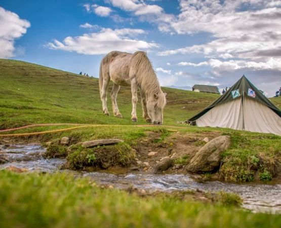 Experience Wilderness Camping in the United States: A Guide to True Backcountry Adventure