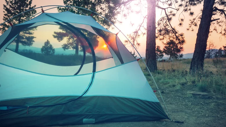 Discover the Top Free Dispersed Camping Sites in the USA for Your Next Adventure