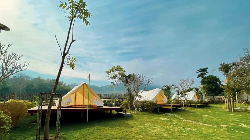 Experience Camping on Quiet Farms with a Strong Sustainability Focus for Eco-Friendly Getaways