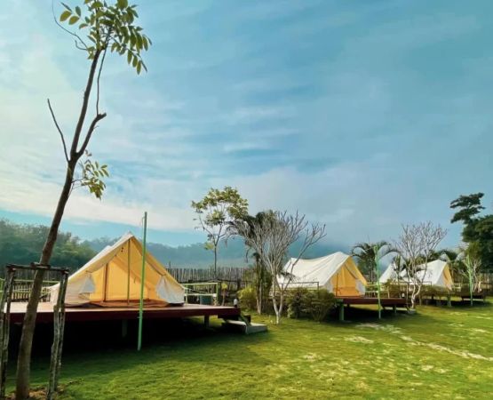 Experience Camping on Quiet Farms with a Strong Sustainability Focus for Eco-Friendly Getaways