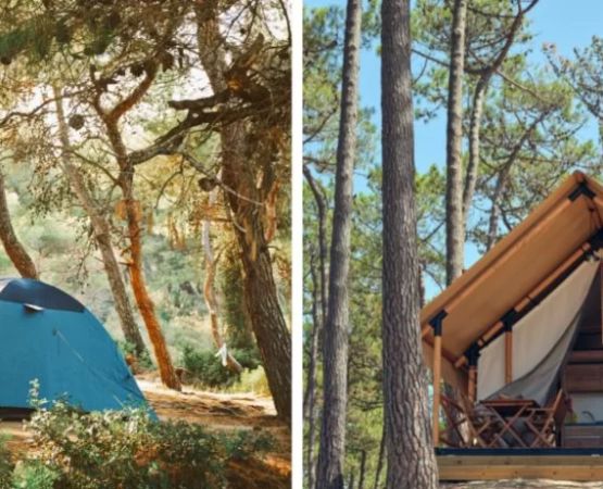 Discover the Best Glamping Tents in America: Comfort Meets Nature