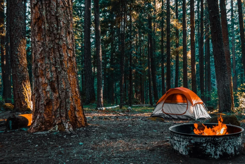 Discover Perfect Camping Near Sandy Beaches with Stunning Sunset Views